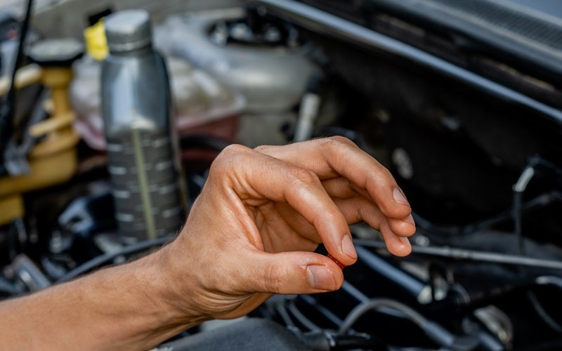 Oil Change Genesis Dearborn